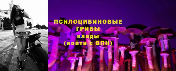 прущая мука Алзамай