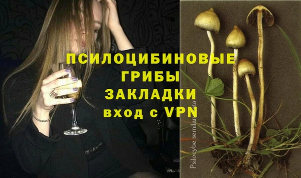 прущая мука Алзамай